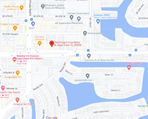 google map view